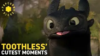 Toothless' Most Adorable Moments | How To Train Your Dragon Series