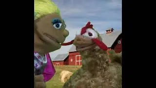 Never Interrupt A Rooster #shorts