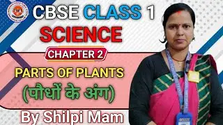 #2026 #cbse Plant Around Us|| #class-1 ||Chapter 2|| #science ||By Shilpi Mam 