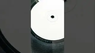 RICH & GORDI & DYNAMIC INTERVENTION - FRESH