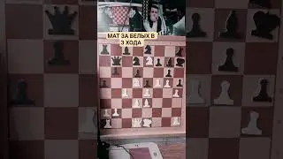 ЗАДАЧКА НА МАТ В 3  ХОДА #chess