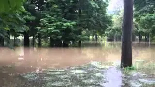 Hochwasser in Rudolstadt Bleichwiese und Heinepark