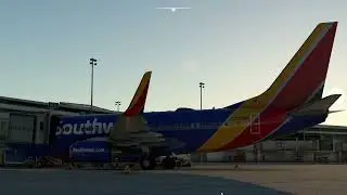 HOU-DAL SouthWest Virtual Airlines Flight | PMDG 737 Tutorial