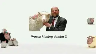 BIOTEKNOLOGI MODERN // KLONING DOMBA DOLLY