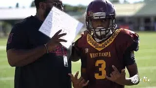 West Tampa Spartans vs Keystone Bills 14U Highlights