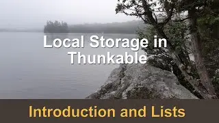 Local Storage in Thunkable