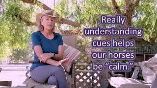 Clicker Training Horses - Peggy Hogan