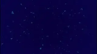 ABZU Gameplay Best Moments|Full Completion