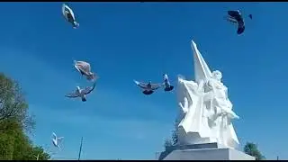 9 мая 2023. "Голуби мира" Юрия Вишнякова