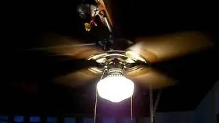 SMC Emperor Royal Flush Ceiling Fan