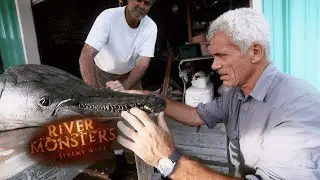 Осмотр тела 327-фунтовой аллигаторовой щуки | CROCODILIA Crocodilia River Monsters