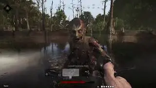 First Attempt At Bounty Hunting Solo - Hunt : Showdown PC Gameplay