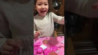 Bella toy review