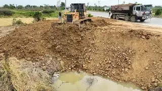 Amazing!! A truck carrying soil cleared a large field with a bulldozer, pushing it skillfully
