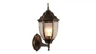 Светильник уличный Arte lamp A3151AL-1BN PEGASUS