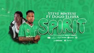 Steve Mweusi Ft Dogo Elisha - SPIRIT (Official Audio)