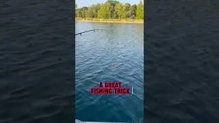 Fishing Trick You NEED To Know About!! 🎣 #shorts #fishing #fishingtricks