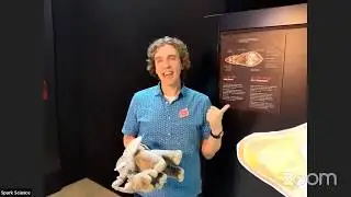 Live in BODY WORLDS: ANIMAL INSIDE OUT