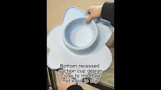 Stainless Steel Small Dog Cat Bowl With Silicone Mat Spill Proof Non-Slip Anti-tip Water Food Milk