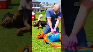 GTA V: Dogs Show Us Pure Love & Loyalty! Young Hero Saves Spider-Man & Dog! Part 4 #gta5 #shorts