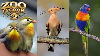I'm Back! - Building A Classical Bird House In Zoo Tycoon 2