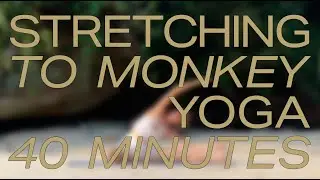 Stretching to Monkey Yoga Class &ndash; 40 Minutes &ndash; Beginner friendly