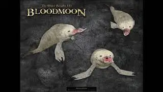Супер простое руководство по созданию собственного сервера TES3 Morrowind tes3mp