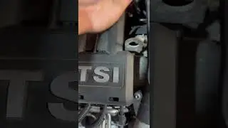VAG TSI und die Nagetiere