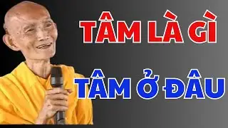 Định Nghĩa Về Linh Hồn Và Sự Sống Sau Cái Chết - Sư Thích Giác Khang