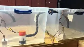 Ebb and Flow Flood Grow System for Aquatic Plants. Anubias, Java Moss and Java Fern