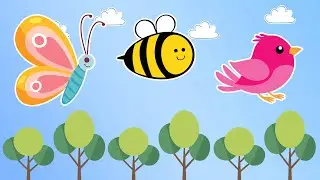 Sensory Video for Babies! 🦋🐝🐦 Butterflies, Bees & Birds