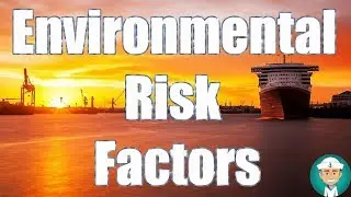Ship Environmental Protection Risk Factors