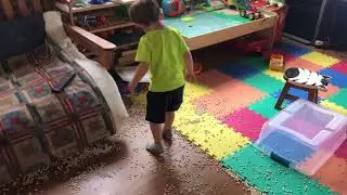 Dollar Store sensory box | Montessori KIDS