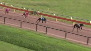 Darwin-11012026-Race-1