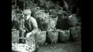 The Shoals of Herring - Part 3 of 5
