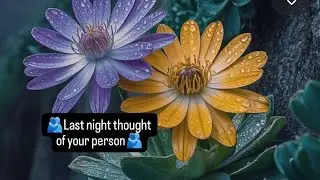 🫂Last night thought of your person🫂 #tarot #astrology #healing #tarotreading #twinflame #soulmate 