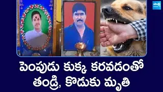 భీమిలీలో దారుణం: Father and Son Lost Life in Vizag after Pet Dog Bites @SakshiTV