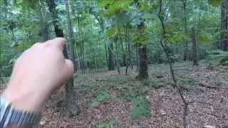 Bloody Ravine