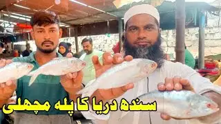 Discovering Palla Machhali: A Vlog Journey into the World of River Fish Delicacies!