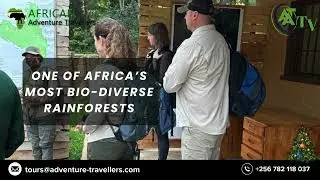 This 2-day Nyungwe experience is pure rainforest magic VisitRwanda #NyungweTour#fyp#EcoTravel