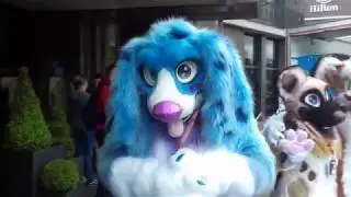 Took's Confuzzled 2019 Con Video