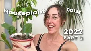 HOUSEPLANT TOUR 2022 | DEEL 2 | ZOVEEL PANNEKOEKENPLANTEN? | Zeg Maar Mich