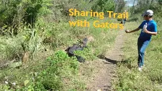 CREW Bird Rookery Swamp Trail near NAPLES, FLORIDA| Natural PARADISE