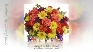 Patriotic Veterans Day Flowers