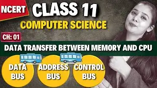 Data Bus, Address Bus, Control Bus | Data Transfer Between Memory and CPU | Class 11 CS