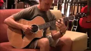 Breedlove Focus SE , Wolfe Guitars