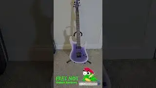 GUITAR REVIEW: FRET NOT Entry Level Metal Series
