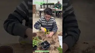 PLANT WITH ME #Spring2025 #SpringActivities #PlantWithMe #Pansey #flowerplanting #Easter2025