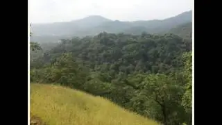 Mahuli trek