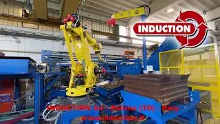 3D ROBOT VISION LOADING SYSTEM for hot forging induction furnaces - Loading of short billets